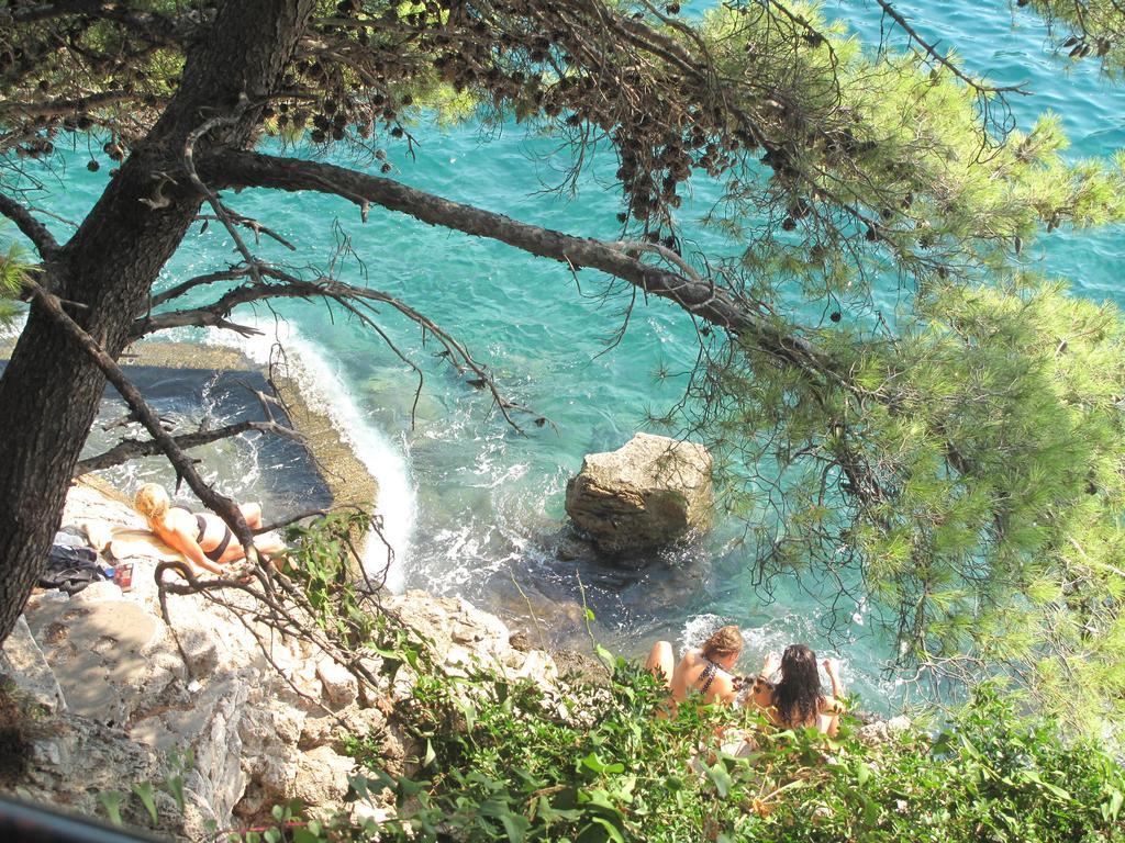 Apartment Vesna Doc Dubrovnik Eksteriør billede